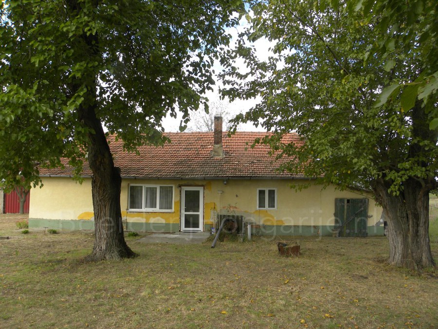 te kopen in hongarije